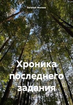 Обложка книги «Хроника последнего задания» — Евгений Александрович Жиляев
