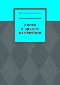 Обложка книги «Алиса в другом измерении» — Владислав Степаненко