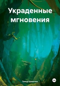 Обложка книги «Украденные мгновения» — Тимур Шеметюк