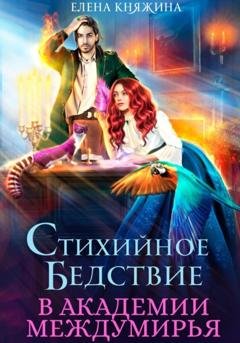 Обложка книги «Стихийное бедствие в Академии Междумирья» — Елена Княжина