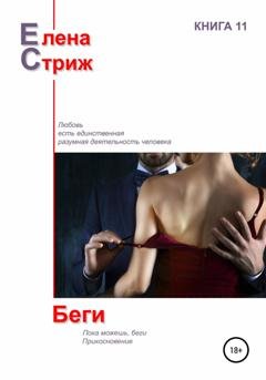 Обложка книги «Беги» — Елена Стриж