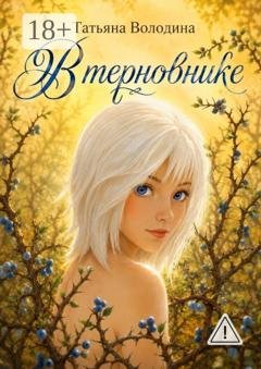 Обложка книги «В терновнике» — Татьяна Володина