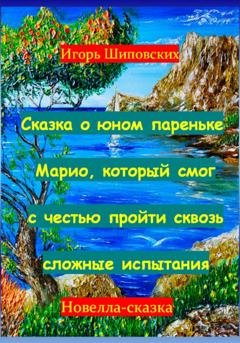 Обложка книги «Сказка о юном пареньке Марио, который смог с честью пройти сквозь сложные испытания» — Игорь Дасиевич Шиповских