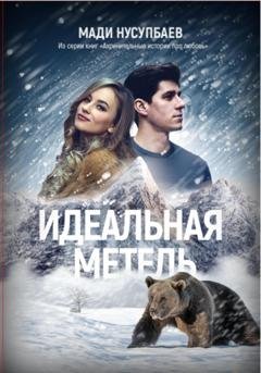 Обложка книги «Идеальная метель» — Мади Нусупбаев
