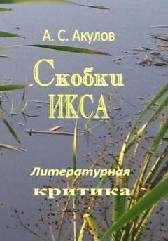 Обложка книги «Скобки икса. Литературная критика» — Александр Сергеевич Акулов
