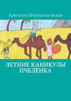 Обложка книги «Летние каникулы Пчелёнка» — Ариндэла Штрудельховская