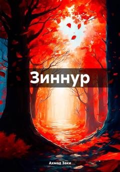 Обложка книги «Зиннур» — Ахмад Заки