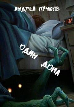 Обложка книги «Один дома» — Андрей Викторович Пучков