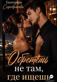 Обложка книги «Обретешь не там, где ищешь» — Екатерина Серебрякова
