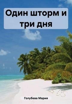 Обложка книги «Один шторм и три дня» — Мария Сергеевна Голубева