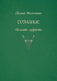 Обложка книги «Сознание» — Евгений Тамчишин