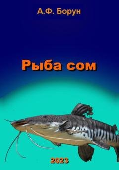 Обложка книги «Рыба сом» — Александр Феликсович Борун
