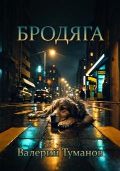 Обложка книги «Бродяга» — Валерий Петрович Туманов