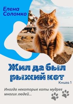 Обложка книги «Жил да был рыжий кот» — Елена Соломко