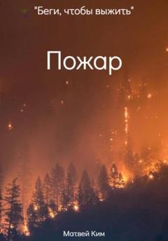 Обложка книги «Пожар» — Матвей Олегович Ким