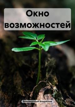 Обложка книги «Окно возможностей» — Владислав Безсмертный