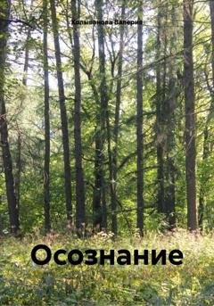 Обложка книги «Осознание» — Валерия Колыванова