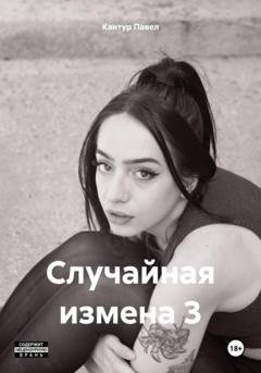 Обложка книги «Случайная измена 3» — Павел Павлович Кантур