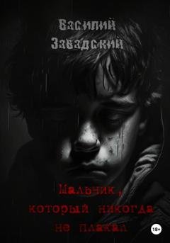 Обложка книги «Мальчик, который никогда не плакал» — Василий Сергеевич Завадский