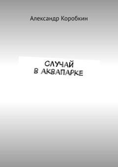 Обложка книги «Случай в аквапарке» — Александр Коробкин
