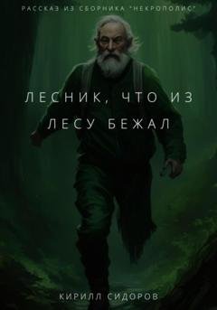 Обложка книги «Лесник, что из лесу бежал» — Кирилл Сидоров