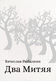 Обложка книги «Два Митяя» — Вячеслав Владимирович Рыбалкин