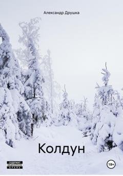 Обложка книги «Колдун» — Александр Друшка