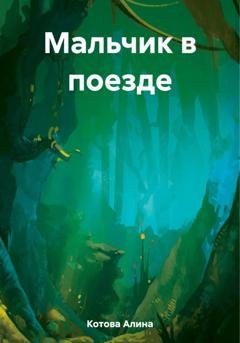 Обложка книги «Мальчик в поезде» — Алина Котова