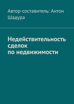Обложка книги «Недействительность сделок по недвижимости» — Антон Анатольевич Шадура