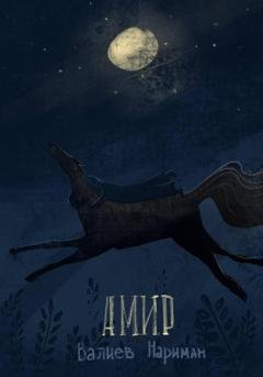 Обложка книги «Амир» — Валиев Нариман