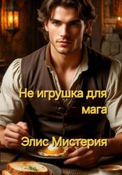 Обложка книги «Не игрушка для мага» — Элис Мистерия