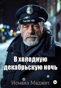 Обложка книги «В холодную декабрьскую ночь» — Исмаил Андреевич Маджит