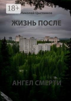 Обложка книги «Жизнь после. Ангел смерти» — Николай Анатольевич Цыглимов