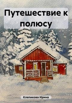 Обложка книги «Путешествие к полюсу» — Ирина Клепикова