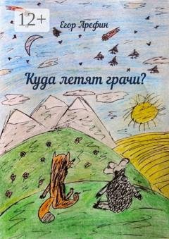 Обложка книги «Куда летят грачи?» — Егор Арефин