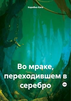 Обложка книги «Во мраке, переходившем в серебро» — Kaтя Коробко