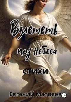 Обложка книги «Взлететь под небеса» — Евгений Матвеев