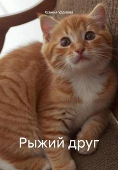 Обложка книги «Рыжий друг» — Ксения Удалова