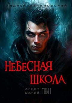 Обложка книги «Небесная школа» — Андрей Лучиновский