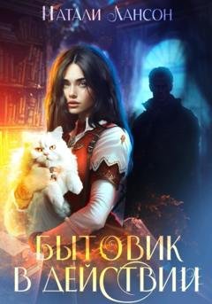 Обложка книги «Бытовик в действии» — Натали Лансон