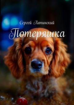 Обложка книги «Потеряшка» — Сергей Лапинский