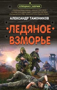 Обложка книги «Ледяное взморье» — Александр Тамоников