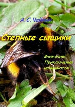 Обложка книги «Степные сыщики» — Алексей Сергеевич Чайкин