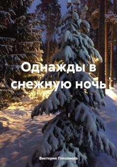 Обложка книги «Однажды в снежную ночь» — Виктория Плеханова