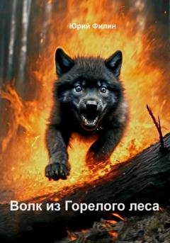 Обложка книги «Волк из Горелого леса» — Юрий Филин