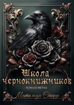 Обложка книги «Школа чернокнижников. Тёмная метка» — Матильда Старр
