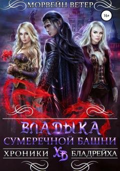 Обложка книги «Владыка сумеречной башни» — Морвейн Ветер