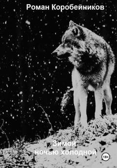 Обложка книги «Зимой ночью холодной» — Роман Юрьевич Коробейников