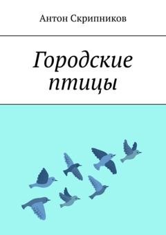 Обложка книги «Городские птицы» — Антон Скрипников