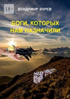 Обложка книги «Боги, которых нам назначили» — Владимир Зорев